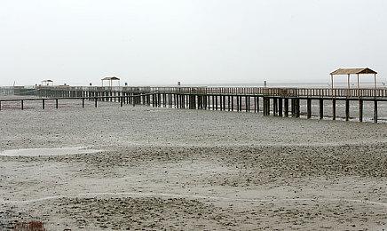 科乐美宣布将推出游戏《游戏王早期合集》 2024年发售